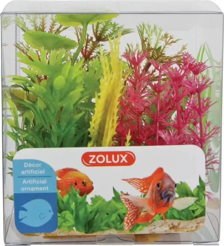 Zolux Set Di 6 Piccole Piante In Plastica - Modello 4 4 Zolux Set Di 6 Piccole Piante In Plastica - Modello 4 - immagine 2