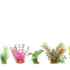 Zolux Set Di 6 Piccole Piante In Plastica - Modello 4 7 Zolux Set Di 6 Piccole Piante In Plastica - Modello 4 -Vendite Cibo per i pesci la 6739f396fe44e7c05c16873b05ec425cbad1501494685