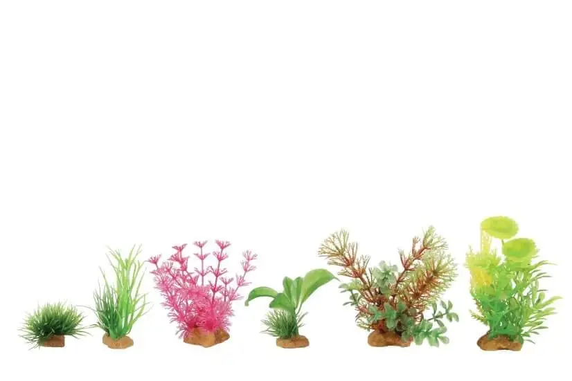 Zolux Set Di 6 Piccole Piante In Plastica - Modello 4 5 Zolux Set Di 6 Piccole Piante In Plastica - Modello 4 - immagine 3