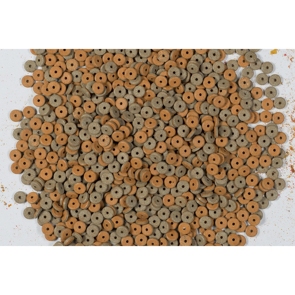 Tetra Fun Tips 5 Tetra Fun Tips - immagine 3