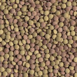 Tetra Tablets TabiMin Cibo Completo Per Pesci Da Fondo 5 Tetra Tablets TabiMin Cibo Completo Per Pesci Da Fondo -Vendite Cibo per i pesci la 7728dd2c7955ce926456240b2ff0100bde1552053389