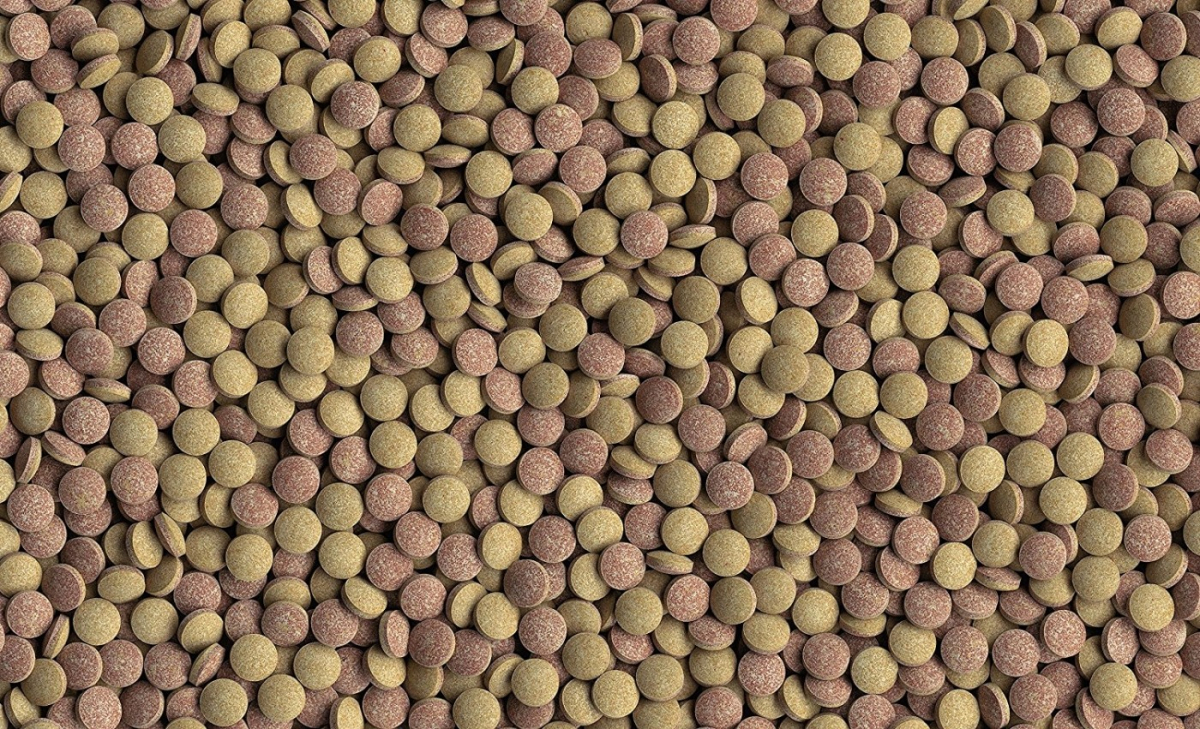 Tetra Tablets TabiMin Cibo Completo Per Pesci Da Fondo 4 Tetra Tablets TabiMin Cibo Completo Per Pesci Da Fondo - immagine 2