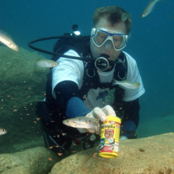 JBL Novo Tanganjika Fiocchi Per Ciclidi Tanganyka E Malawi -Vendite Cibo per i pesci la 77386b122d4358357d834a87ce618a55de01534749639