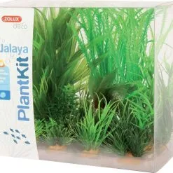 Zolux Plantkit Jalaya 6 Piante