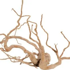 Zolux Radici Ragno Per Acquario - Diverse Taglie Disponibili -Vendite Cibo per i pesci la 9138b5040a8a5baf3e0e67386c2e3a9b9031626782262