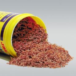 JBL NovoFil Larve Di Zanzare Rosse Liofilizzate -Vendite Cibo per i pesci la 91524896ee4c6526356cc127852413ea3b41532360373