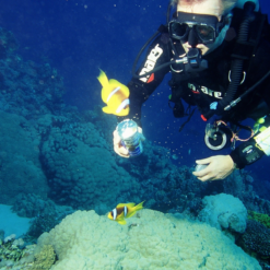 JBL MariPearls Perline Alimentari Per Animali Marini -Vendite Cibo per i pesci la 928d045c59a90d7587d8d671b5f5aec4e7c1551344541