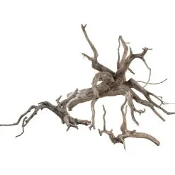 Sera Scaper Root Radici Naturali Per Aquascaping -Vendite Cibo per i pesci la 94f4b9ec30ad9f68f89b29639786cb62ef1652110094