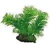 Hobby Pianta Di Egeria, 13 Cm 1 Hobby Pianta Di Egeria, 13 Cm -Vendite Cibo per i pesci la plante egeria 13cm 10197
