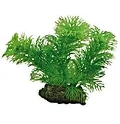 Hobby Pianta Di Egeria, 13 Cm