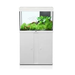 Zolux Acquario Elegance Plus 80 Led Bianco