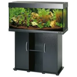 Acquario Juwel Rio 180 A Led Nero Bianco Darkwood+allestimento E Kit E Manutenzione, (150€ Prodotti Omaggio) 10 Acquario Juwel Rio 180 A Led Nero Bianco Darkwood+allestimento E Kit E Manutenzione, (150€ Prodotti Omaggio) -Vendite Cibo per i pesci rio180nero