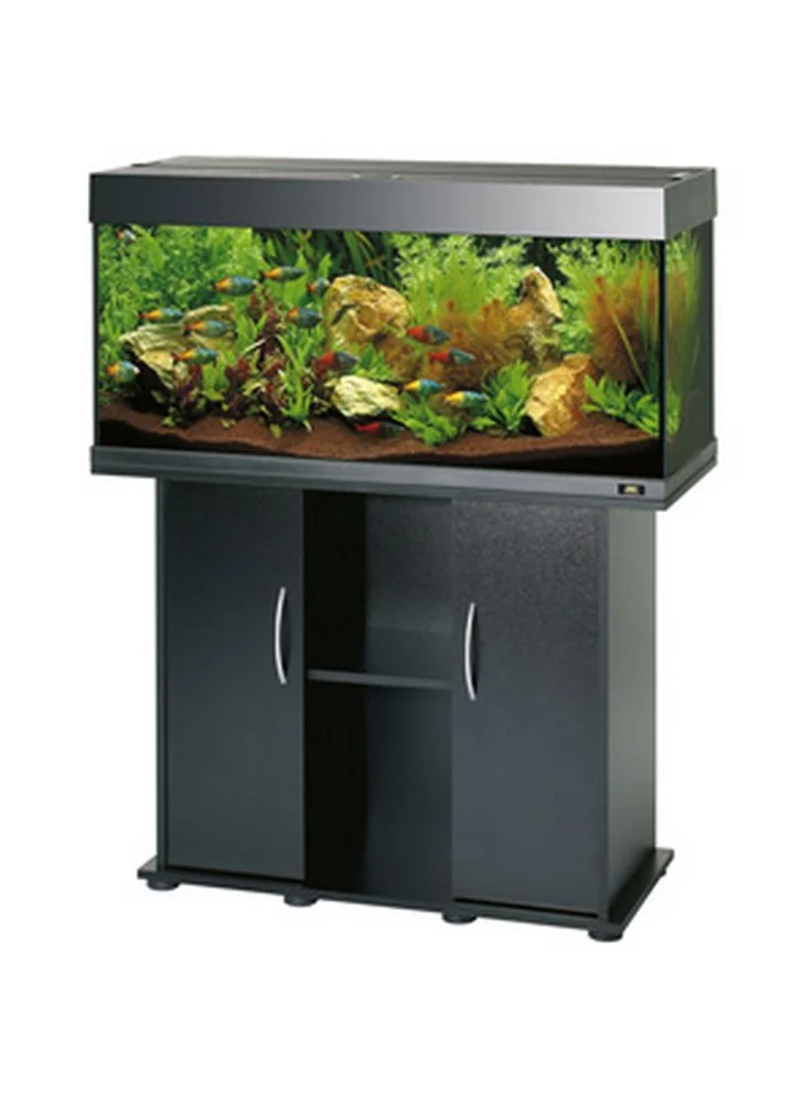 Acquario Juwel Rio 180 A Led Nero Bianco Darkwood+allestimento E Kit E Manutenzione, (150€ Prodotti Omaggio) 5 Acquario Juwel Rio 180 A Led Nero Bianco Darkwood+allestimento E Kit E Manutenzione, (150€ Prodotti Omaggio) - immagine 3