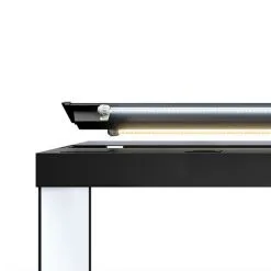 Acquario Juwel Rio 350 Led Nero Bianco Darkwood + Allestimento Dolce O Marino E Kit Manutenzione Omaggio 11 Acquario Juwel Rio 350 Led Nero Bianco Darkwood + Allestimento Dolce O Marino E Kit Manutenzione Omaggio -Vendite Cibo per i pesci rio240luce