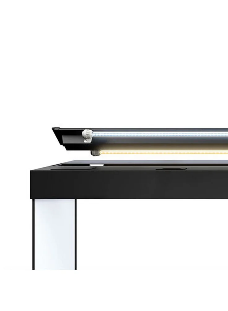 Acquario Juwel Rio 350 Led Nero Bianco Darkwood + Allestimento Dolce O Marino E Kit Manutenzione Omaggio 7 Acquario Juwel Rio 350 Led Nero Bianco Darkwood + Allestimento Dolce O Marino E Kit Manutenzione Omaggio - immagine 5