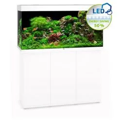 Acquario Juwel Rio 350 Led Nero Bianco Darkwood + Allestimento Dolce O Marino E Kit Manutenzione Omaggio