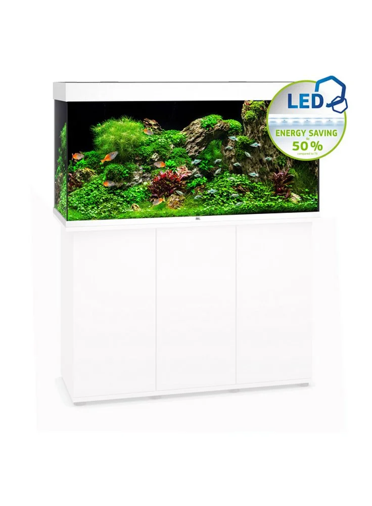 Acquario Juwel Rio 350 Led Nero Bianco Darkwood + Allestimento Dolce O Marino E Kit Manutenzione Omaggio 3 Acquario Juwel Rio 350 Led Nero Bianco Darkwood + Allestimento Dolce O Marino E Kit Manutenzione Omaggio