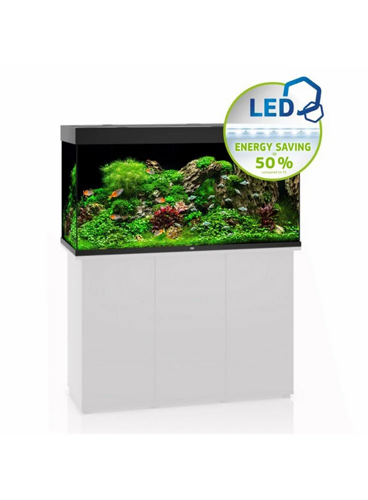 Acquario Juwel Rio 350 Led Nero Bianco Darkwood + Allestimento Dolce O Marino E Kit Manutenzione Omaggio 4 Acquario Juwel Rio 350 Led Nero Bianco Darkwood + Allestimento Dolce O Marino E Kit Manutenzione Omaggio - immagine 2