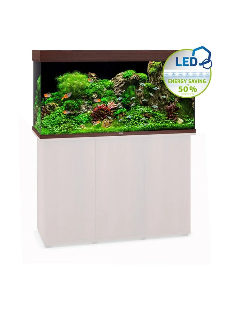 Acquario Juwel Rio 350 Led Nero Bianco Darkwood + Allestimento Dolce O Marino E Kit Manutenzione Omaggio 5 Acquario Juwel Rio 350 Led Nero Bianco Darkwood + Allestimento Dolce O Marino E Kit Manutenzione Omaggio - immagine 3