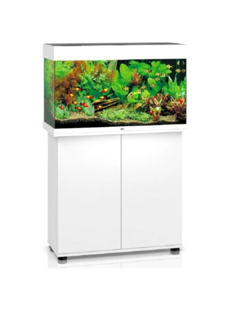 Supporto Mobile Per Juwel Rio 125 5 Supporto Mobile Per Juwel Rio 125 - immagine 3