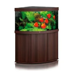ACQUARIO JUWEL TRIGON 350 Led Bianco Nero Darkwood Con Supporto 8 ACQUARIO JUWEL TRIGON 350 Led Bianco Nero Darkwood Con Supporto -Vendite Cibo per i pesci trigon350nocesupp