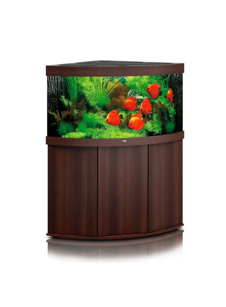 ACQUARIO JUWEL TRIGON 350 Led Bianco Nero Darkwood Con Supporto 5 ACQUARIO JUWEL TRIGON 350 Led Bianco Nero Darkwood Con Supporto - immagine 3