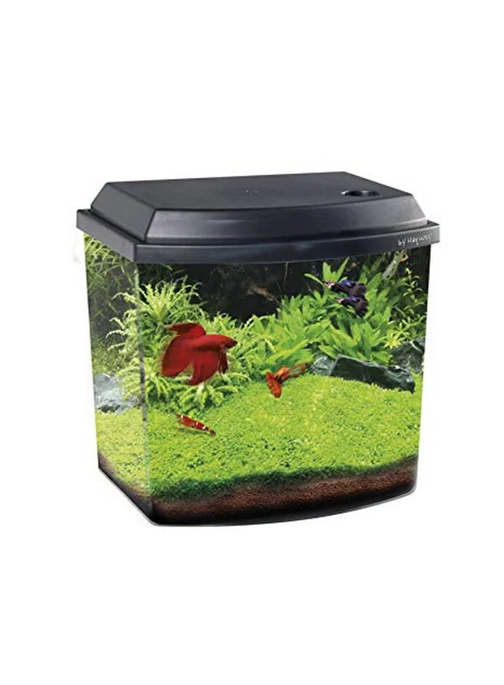 HAQUOSS BLU 3.8 NERO - 21,6x15,6x20,8h Cm - 3,8lt 3 HAQUOSS BLU 3.8 NERO - 21,6x15,6x20,8h Cm - 3,8lt