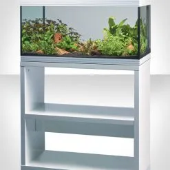 Acquario Askoll Pure XL Led + Kit Manutenzione 70€ Omaggio 7 Acquario Askoll Pure XL Led + Kit Manutenzione 70€ Omaggio -Vendite Cibo per i pesci x04093710 purexlw.jpg.pagespeed.ic .Nnhi uiME3