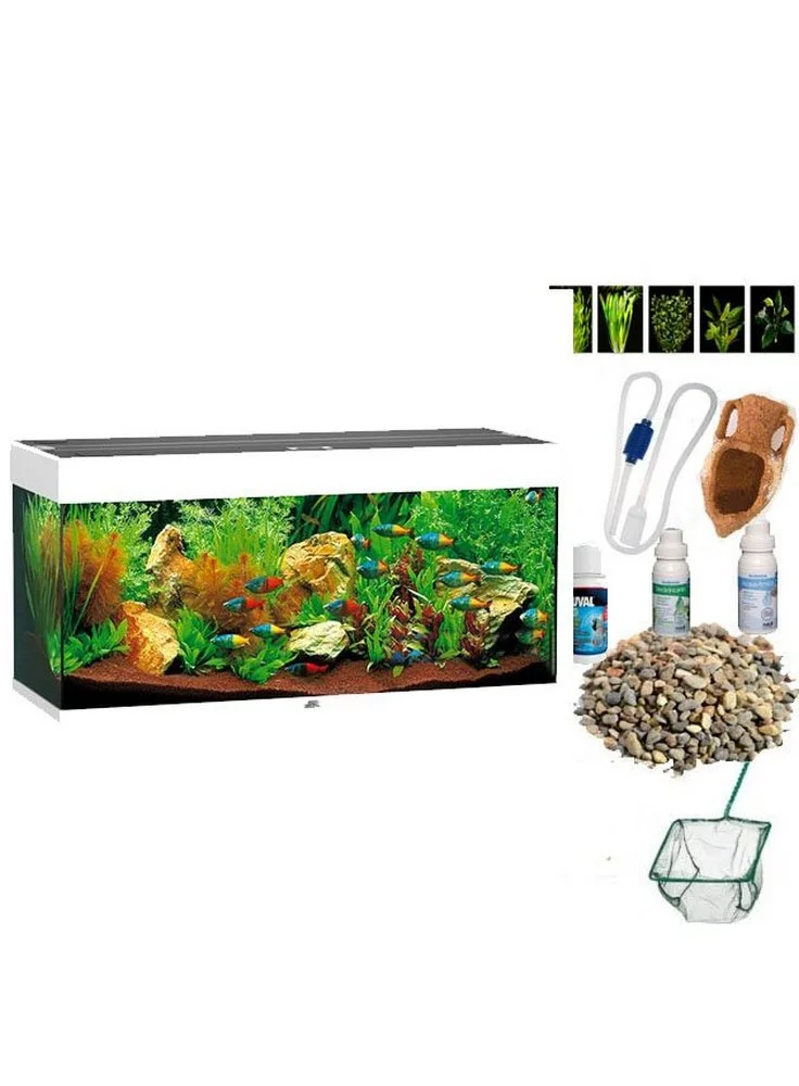 Acquario Juwel Rio 180 A Led Nero Bianco Darkwood+allestimento E Kit E Manutenzione, (150€ Prodotti Omaggio) 3 Acquario Juwel Rio 180 A Led Nero Bianco Darkwood+allestimento E Kit E Manutenzione, (150€ Prodotti Omaggio)
