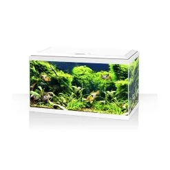 Askoll Acquario Ambiente Aqua 60 LED Bianco O Nero