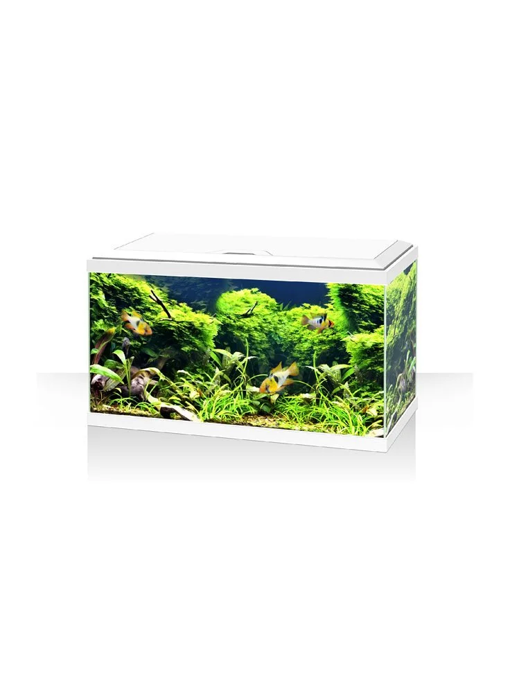Askoll Acquario Ambiente Aqua 60 LED Bianco O Nero 3 Askoll Acquario Ambiente Aqua 60 LED Bianco O Nero