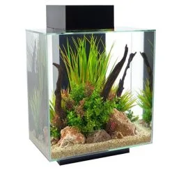 Askoll Nuova Versione Fluval Edge 46 Litri -Vendite Cibo per i pesci x15391 FL EDGE 46L 12gal BLK BTY1 INT.jpg.pagespeed.ic .2cCQOVZbzh