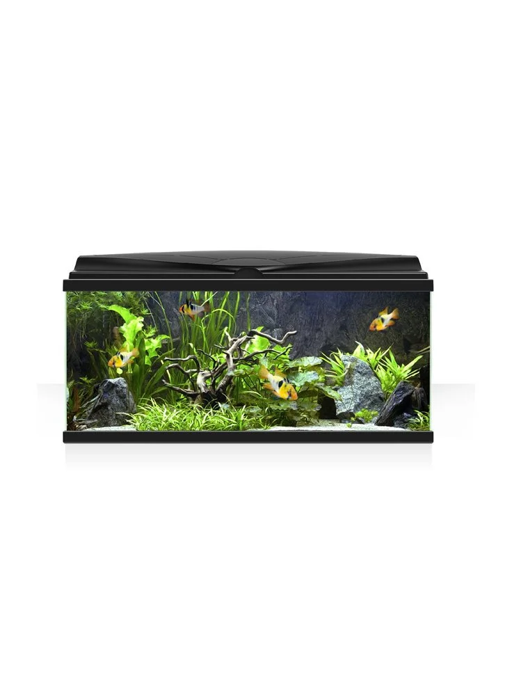 Askoll Acquario Ambiente Aqua 60 LED Bianco O Nero 4 Askoll Acquario Ambiente Aqua 60 LED Bianco O Nero - immagine 2