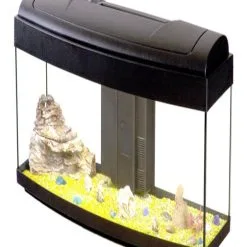 CASA DEL VETRO Vasca E Allestimento Zen Con Accessori 8 CASA DEL VETRO Vasca E Allestimento Zen Con Accessori -Vendite Cibo per i pesci x28163452 image100x30black1 chiuso.jpg.pagespeed.ic .pQITo50uY1