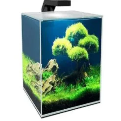 ACQUARIO ASKOLL CUBE