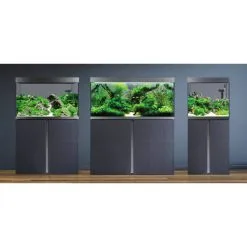 Acquario Askoll FLUVAL SIENA Con Supporto