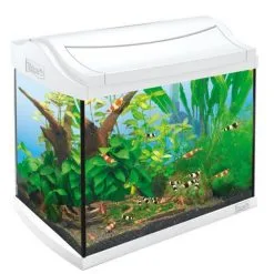 Acquario Tetra Aqua Art Led 60 Lt Bianco
