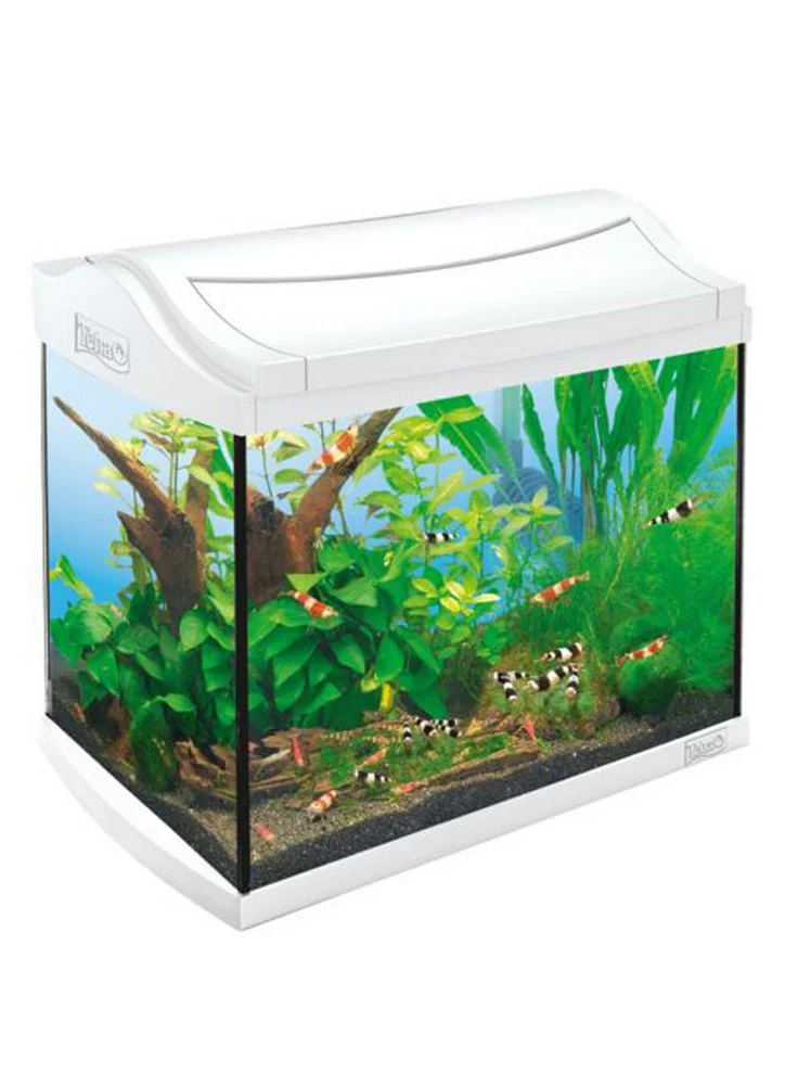 Acquario Tetra Aqua Art Led 60 Lt Bianco 3 Acquario Tetra Aqua Art Led 60 Lt Bianco