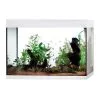 Acquario Askoll Pure XL High Cube LED -Vendite Cibo per i pesci xacquariopurexlHCbianco.jpg.pagespeed.ic .7 1pY h3Px