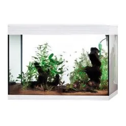 Acquario Askoll Pure XL High Cube LED
