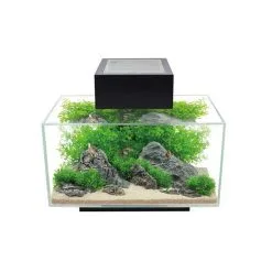 Nuovo Acquario Design Askoll Edge 2.0 23 Litri Luci A Led 11 Nuovo Acquario Design Askoll Edge 2.0 23 Litri Luci A Led -Vendite Cibo per i pesci xacuario fluval edge 20.jpg.pagespeed.ic .4y7yp0X9m