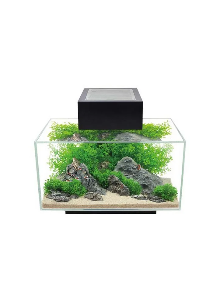 Nuovo Acquario Design Askoll Edge 2.0 23 Litri Luci A Led 5 Nuovo Acquario Design Askoll Edge 2.0 23 Litri Luci A Led - immagine 3