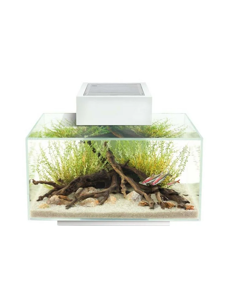 Nuovo Acquario Design Askoll Edge 2.0 23 Litri Luci A Led 4 Nuovo Acquario Design Askoll Edge 2.0 23 Litri Luci A Led - immagine 2