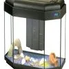 CASA DEL VETRO Acquario Panorama 80 X 35 Con Allestimento Dolce -Vendite Cibo per i pesci xadvance80x35panoramablack1 chiuso.jpg.pagespeed.ic .as1lmDR7xB