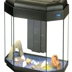 CASA DEL VETRO Acquario Panorama 80 X 35 Con Allestimento Dolce