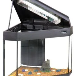 CASA DEL VETRO Acquario Angolare 55 Con Allestimento Dolce