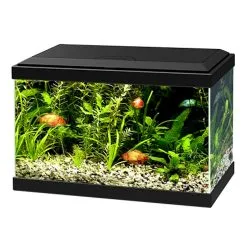 Askoll AQUA 20 LED LIGHT BLACK CF40