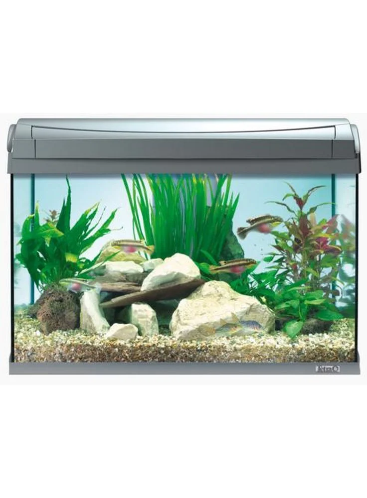 Acquario Tetra Aqua Art Led 4 Acquario Tetra Aqua Art Led - immagine 2