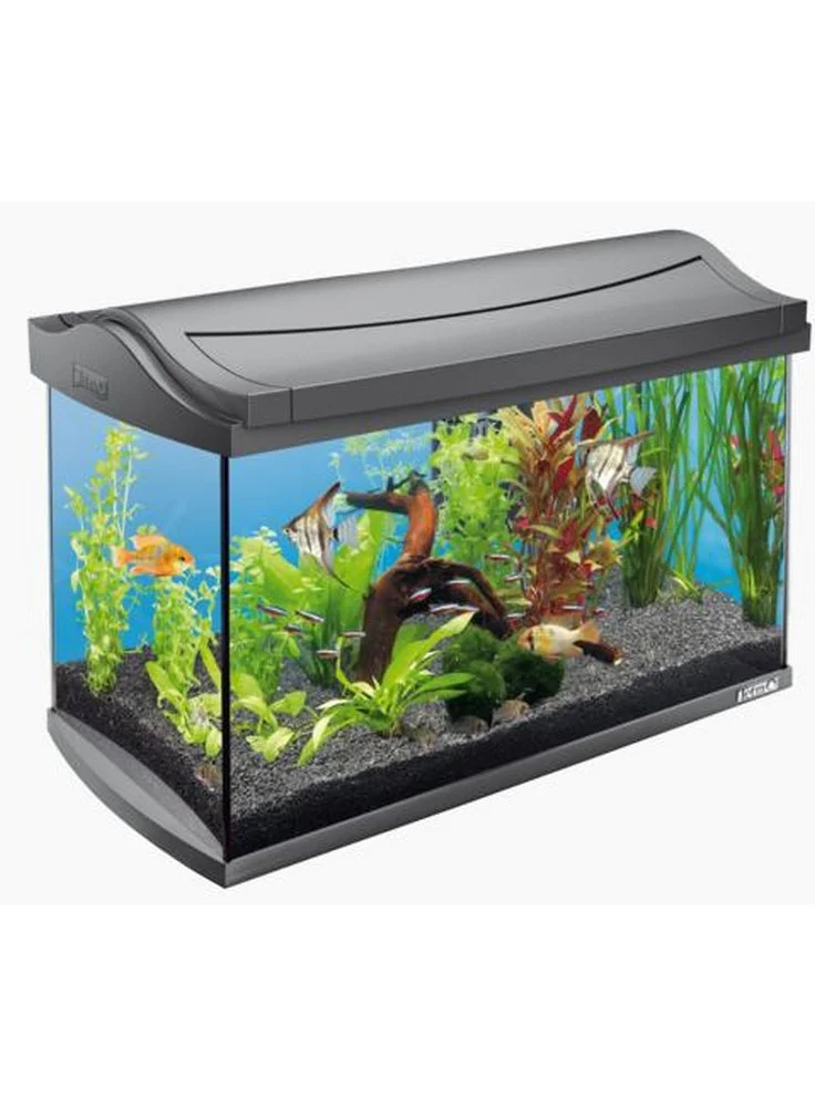 Acquario Tetra Aqua Art Led 3 Acquario Tetra Aqua Art Led