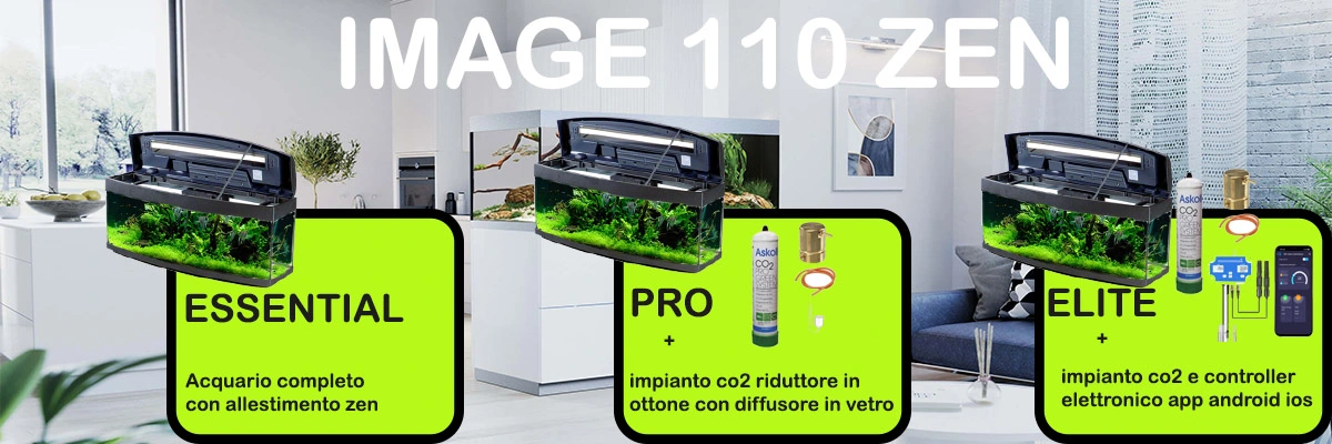 CASA DEL VETRO Vasca E Allestimento Zen Con Accessori 5 CASA DEL VETRO Vasca E Allestimento Zen Con Accessori - immagine 3